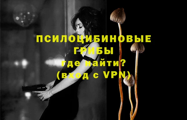 шишки Бронницы