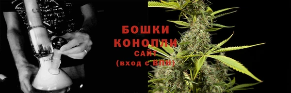 шишки Бронницы