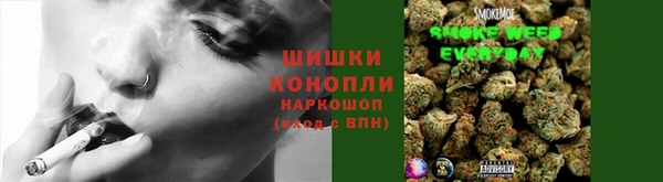 шишки Бронницы