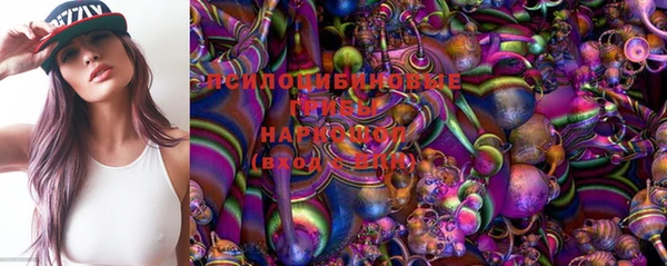 шишки Бронницы