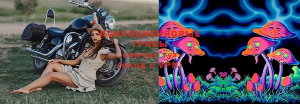 шишки Бронницы