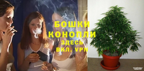 шишки Бронницы